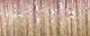 Нитка для вишивки Very Fine #4 Braid (5550) 11м B4-5550 KREINIK | Купити - Салон рукоділля