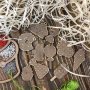 Заготовока для вышивания по дереву FLSW-003 Волшебная страна | Набор | Салон рукоделия