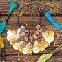 Котушки для ниток FLC-124(S) Wonderland Crafts - Салон рукоділля