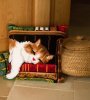 CAT SLEEPING ON BOOKSHELF PN-0146409 VERVACO подушка