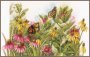 BUTTERFLIES & CONEFLOWERS PN-0179972 LanArte