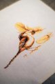 CHAFFINCH PN-0187999 LanArte вишивка хрестиком | Набір - Салон рукоділля Давайте створимо шедевр разом!
