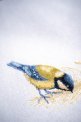 TOMTIT PN-0188000 LanArte вишивка хрестиком | Набір - Салон рукоділля Давайте створимо шедевр разом!