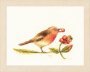 ROBIN PN-0188024 LanArte вишивка хрестиком | Набір - Салон рукоділля Давайте створимо шедевр разом!