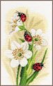 LADYBUG PARADE PN-0190657 LanArte