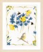 CHIRPING CHIFFCHAFF PN-0191926 LanArte вишивка хрестиком | Набір - Салон рукоділля Давайте створимо шедевр разом!