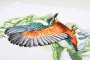 FLYING KINGFISHER PN-0200091 LanArte вишивка хрестиком | Набір - Салон рукоділля Давайте створимо шедевр разом!