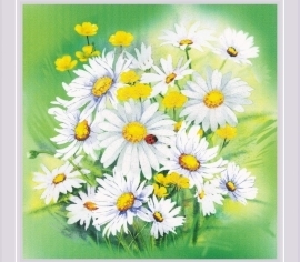 Ромашки Гладь 0089 РТ РИОЛИС></noscript>

</a>
</div>
          </div>
  
                <div class=