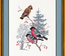 Bullfinch & waxwing 12-731 Eva Rosenstand