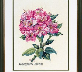 Rhododendron pink \ Рододендрон розовый 12-895 Eva Rosenstand