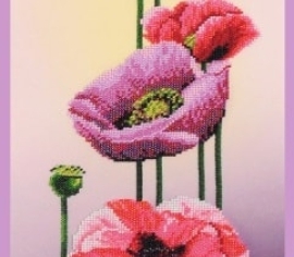 ></noscript>

</a>
</div>
          </div>
  
                <div class=