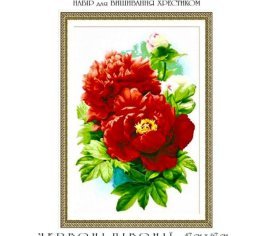 Пионы 143 ДАНТЕЛЬ