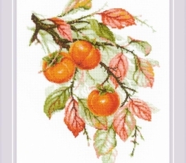 Солнечная хурма 1988 РИОЛИС></noscript>

</a>
</div>
          </div>
  
                <div class=