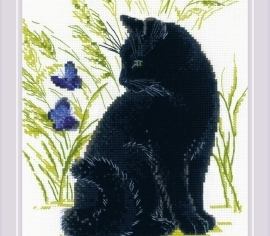 Черный кот 2001 РИОЛИС></noscript>

</a>
</div>
          </div>
  
                <div class=