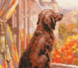 ></noscript>

</a>
</div>
          </div>
  
                <div class=