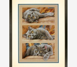 Max the Cat 70-35301 DIMENSIONS
