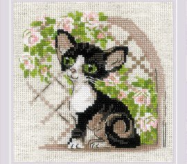 Cornish Rex Kitten 2121 РІОЛІС вишивка хрестиком | Набір | Купити - Салон рукоділля