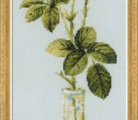 Королева цветов 1375 РИОЛИС