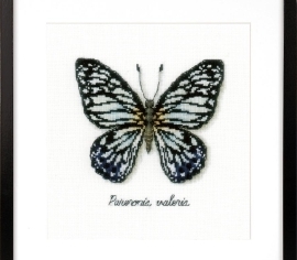 Блакитний метелик PN-0165403 Vervaco вишивка хрестом | набір | Купити - Салон рукоділля - Давайте створимо шедевр разом! ></noscript>

</a>
</div>
          </div>
  
                <div class=
