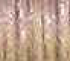 Металізована нитка Fine #8 Braid (5550) 10м B8-5550 Kreinik | Купити - Салон рукоділля></noscript>

</a>
</div>
          </div>
  
                <div class=
