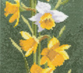 Нарцисс//Daffodil Panel HC469 Heritage Crafts - Салон рукоделия 