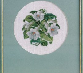 BLOMSTER 73-11544 Oehlenschlägers