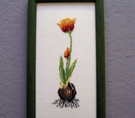 TULIPAN 73-33045 Oehlenschlägers></noscript>

</a>
</div>
          </div>
  
                <div class=