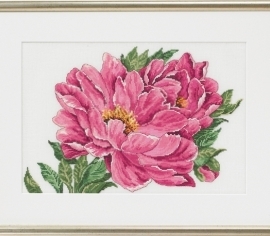 Пионы Peony 70-4108 Permin></noscript>

</a>
</div>
          </div>
  
                <div class=