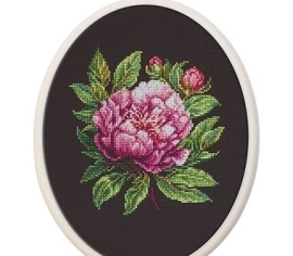 Півонія Peter Brand BC204 Luca-S></noscript>

</a>
</div>
          </div>
  
                <div class=