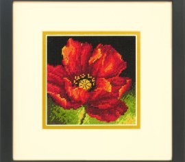 Red Poppy 71-07246 DIMENSIONS