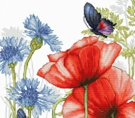 ></noscript>

</a>
</div>
          </div>
  
                <div class=