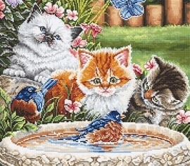 Splashing Up Some Fun L8028 LETISTITCH></noscript>

</a>
</div>
          </div>
  
                <div class=