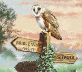 Barn Owl L8031 LETISTITCH