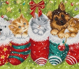 Собаки та коти в панчохах L9940 Letistitch вишивка хрестиком - Салон рукоділля></noscript>

</a>
</div>
          </div>
  
                <div class=