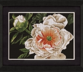 PEONY LADY PN-0008177 LanArte></noscript>

</a>
</div>
          </div>
  
                <div class=