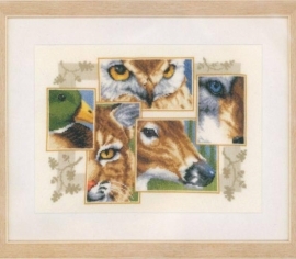 Wild Eyes Дикі очі PN-0145247 Vervaco вишивка хрестиком - Салон рукоділля></noscript>

</a>
</div>
          </div>
  
                <div class=