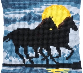 Horses in moonlight Коні в місячному світлі PN-0171755 подушка Vervaco - Салон рукоділля></noscript>

</a>
</div>
          </div>
  
                <div class=
