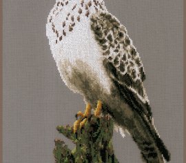 СОКОЛ PN-0172743 LanArte