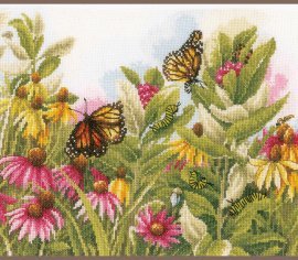 BUTTERFLIES & CONEFLOWERS PN-0179972 LanArte