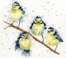 Нежное чириканье XHD4 Bothy Threads