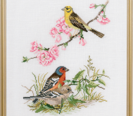 Птахи Birds  12-735 Eva Rosenstand - Салон рукоділля
