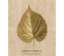 Black Mulberry Чорна шовковиця HC750 Heritage Crafts - Салон рукоділля 