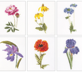 Six Floral Studies / Шість досліджень квітів T3085A Thea Gouverneur - Салон рукоділля