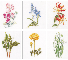 Six Floral Studies / Шість досліджень квітів T3086A Thea Gouverneur - Салон рукоділля
