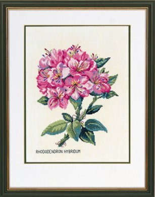 Rhododendron pink \ Рододендрон розовый 12-895 Eva Rosenstand