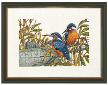 Kingfishers 14-147 Eva Rosenstand