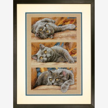Max the Cat 70-35301 DIMENSIONS
