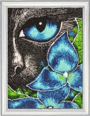 Кот Нуар 652 ButterFly