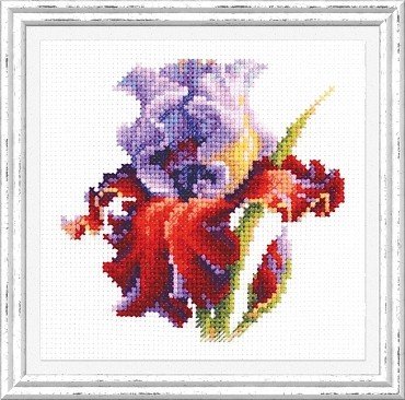 Ирис 150-011 Чудесная игла