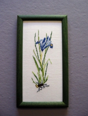 IRIS 73-33041 Oehlenschlägers